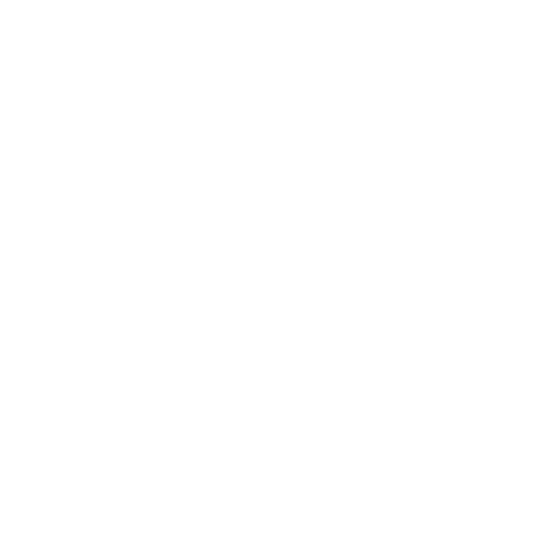 Indian Idli